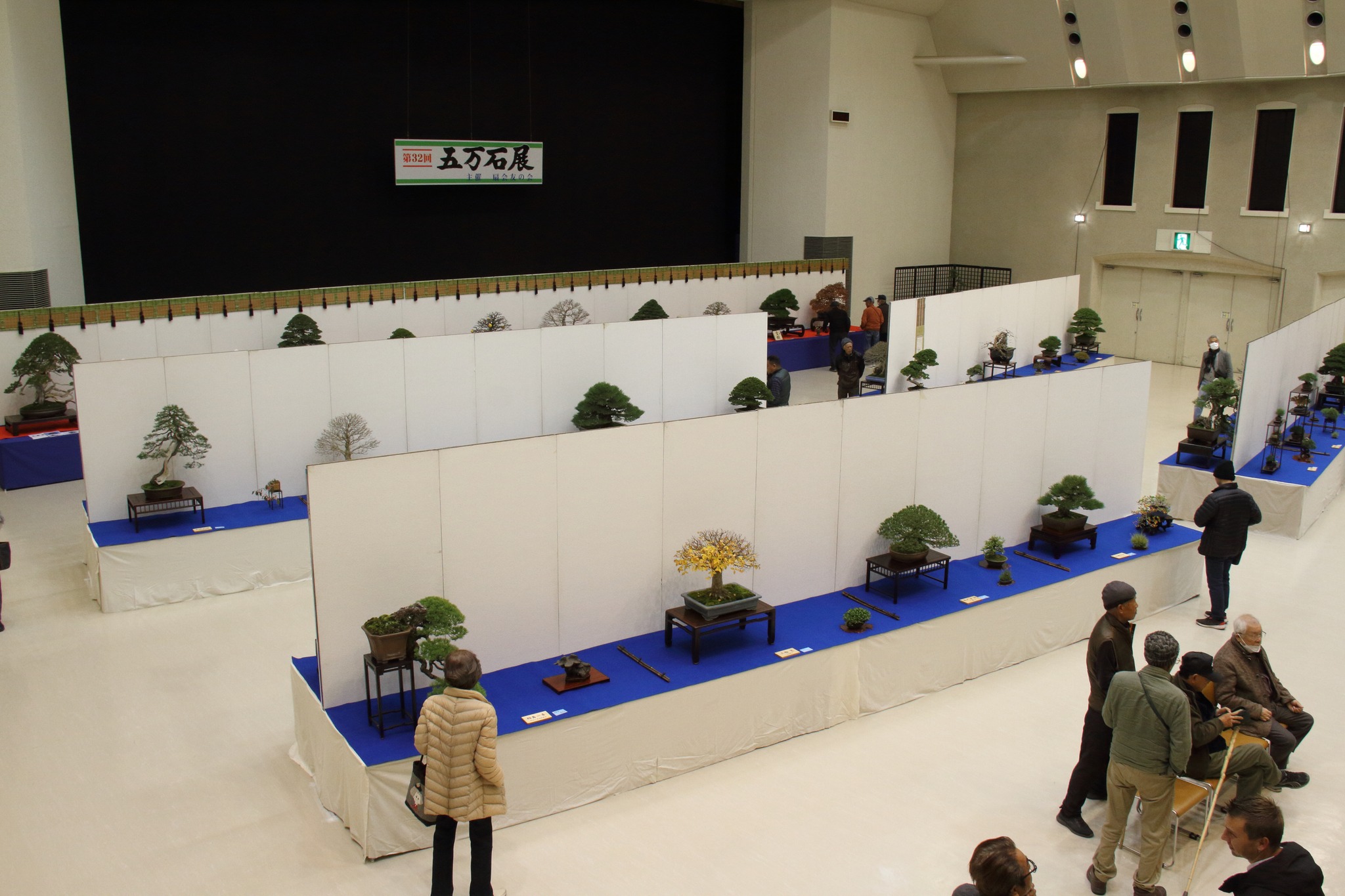 五万石盆栽展にお伺いしました。