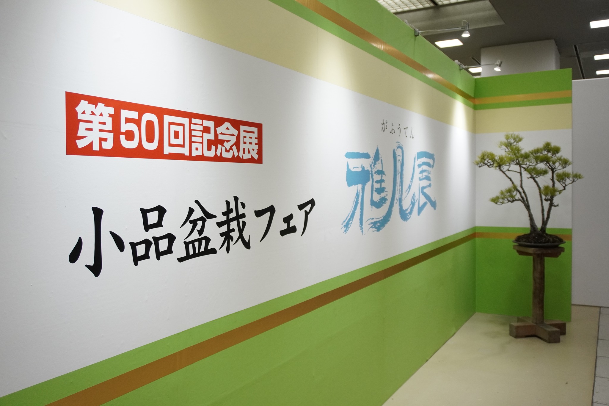 第50回 小品盆栽フェア 雅風展に伺いました。