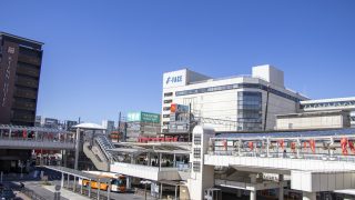 豊田市から盆栽をお売りになりたい方へ