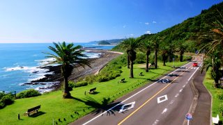 宮崎市から盆栽をお売りになりたい方へ