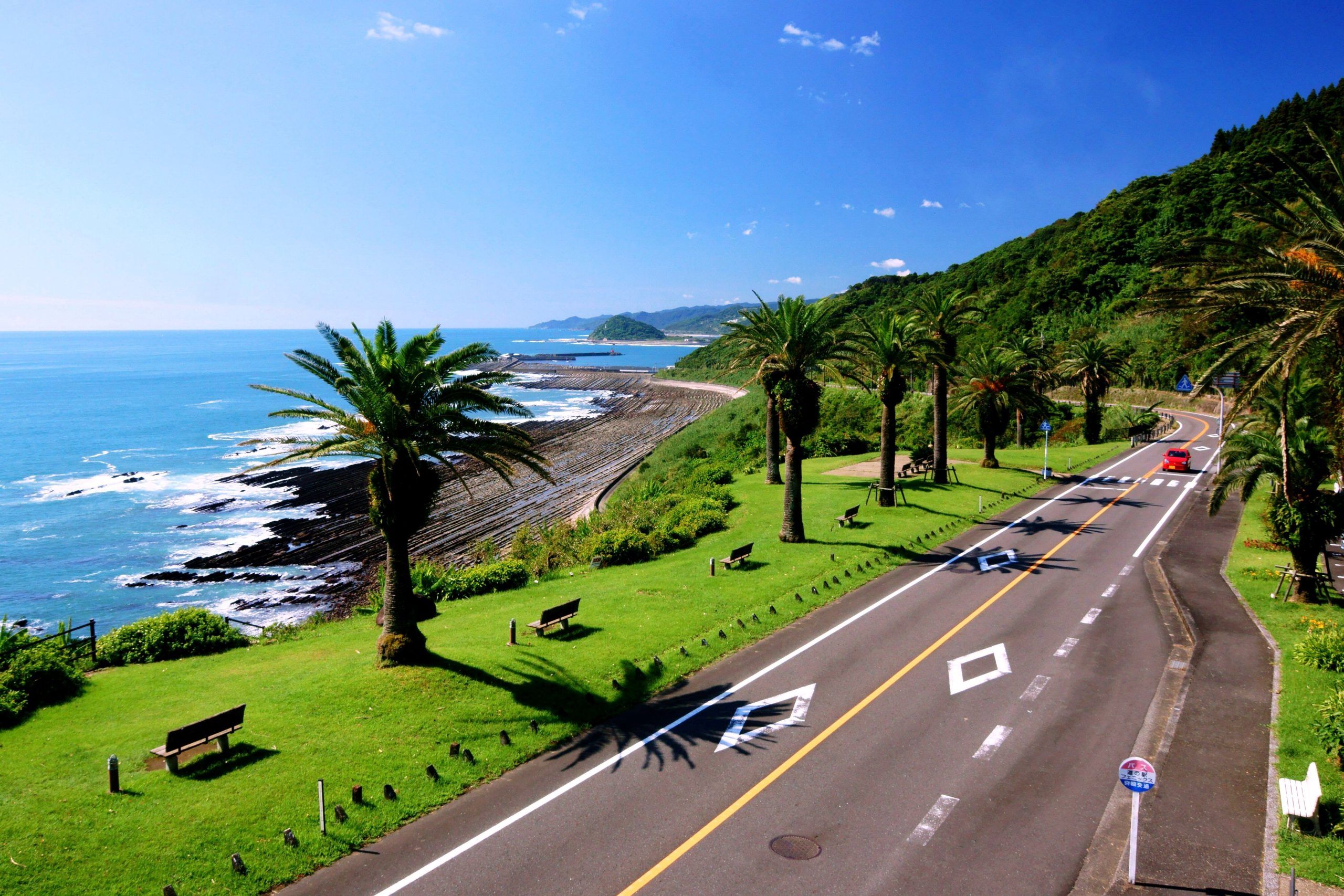 宮崎市から盆栽をお売りになりたい方へ