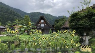 岐阜市から盆栽をお売りになりたい方へ