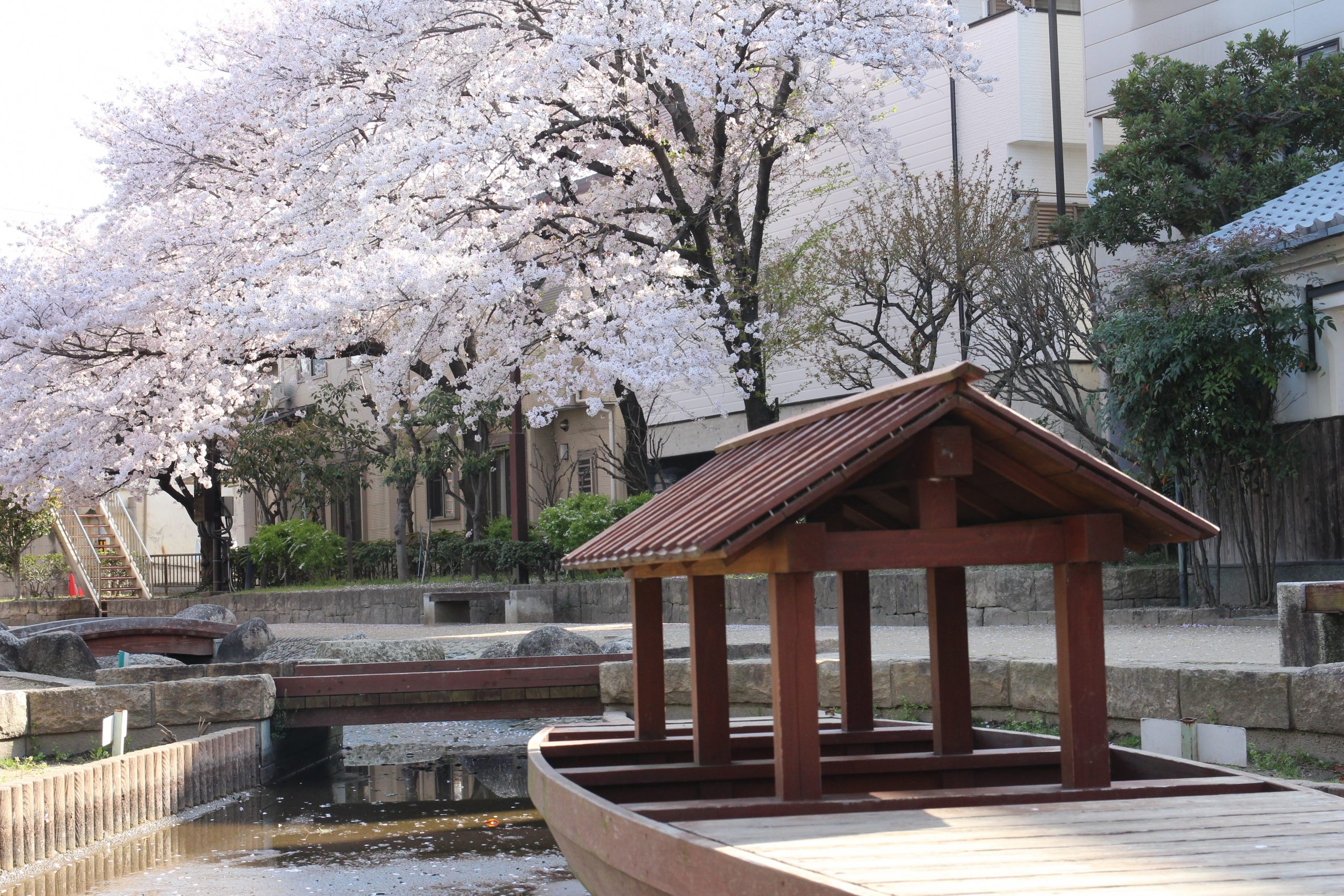 枚方市で盆栽の買取をお考えの方へ