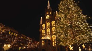 長崎市から盆栽をお売りになりたい方へ