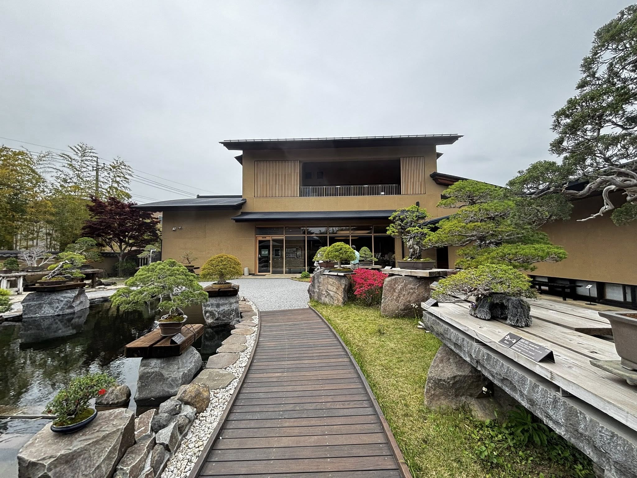 2025年リニューアル 埼玉県の大宮盆栽美術館 – 岳盆栽