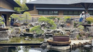 東京都北区から盆栽をお売りになりたいかたへ