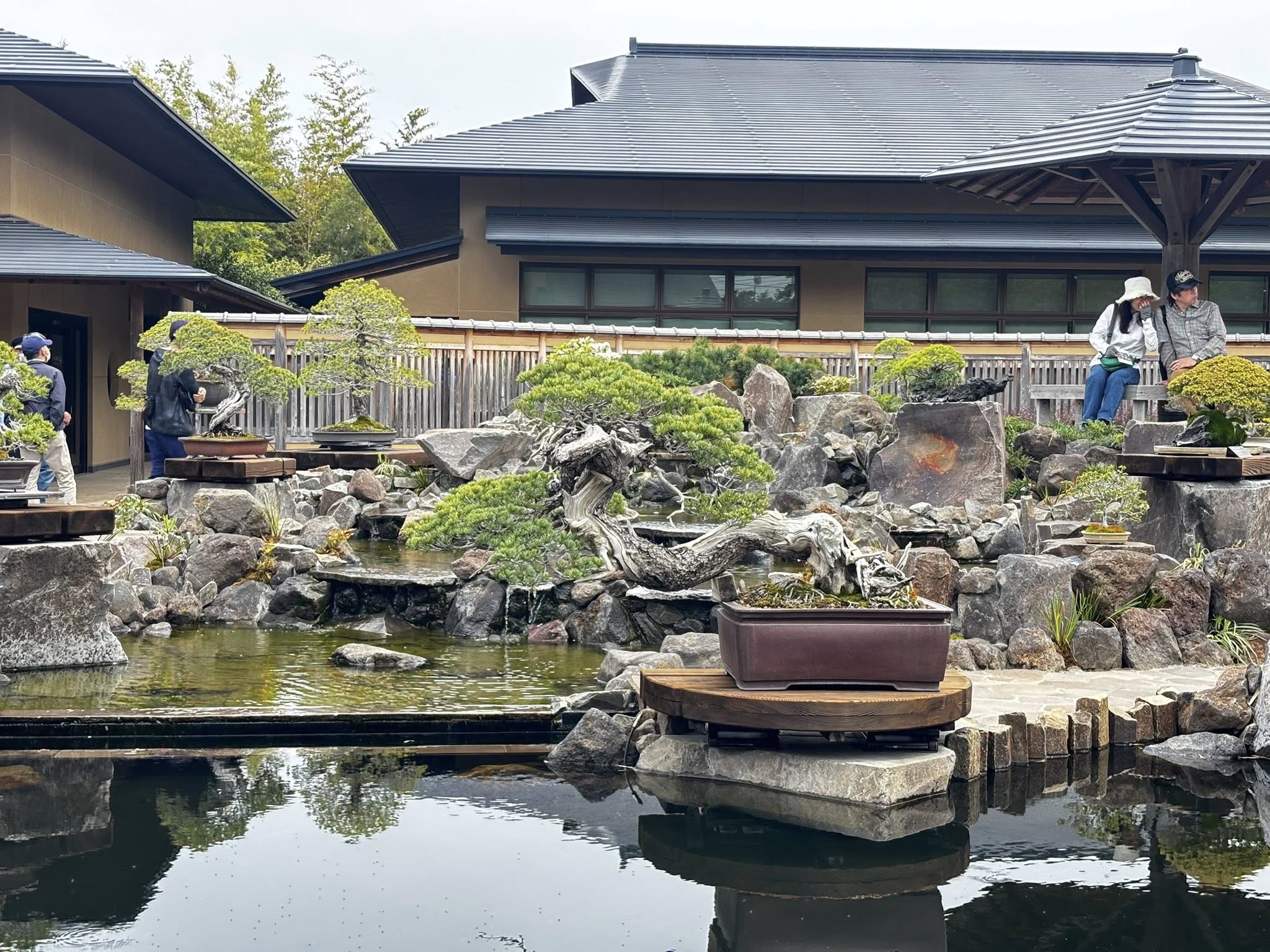 【保存版】盆栽買取の相場はどうやって決まる？プロが解説する高く売る方法