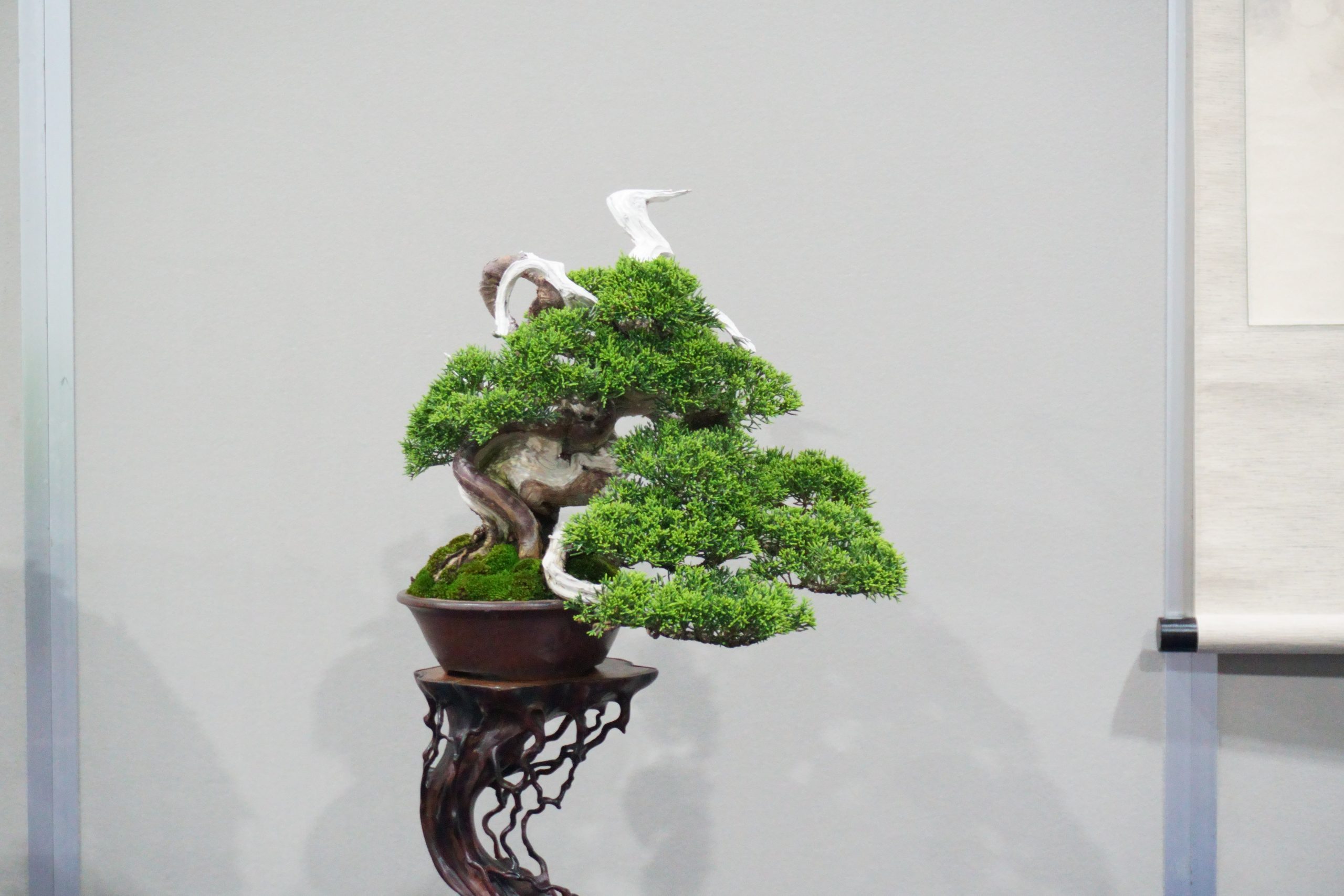 長崎市から盆栽をお売りになりたい方へ