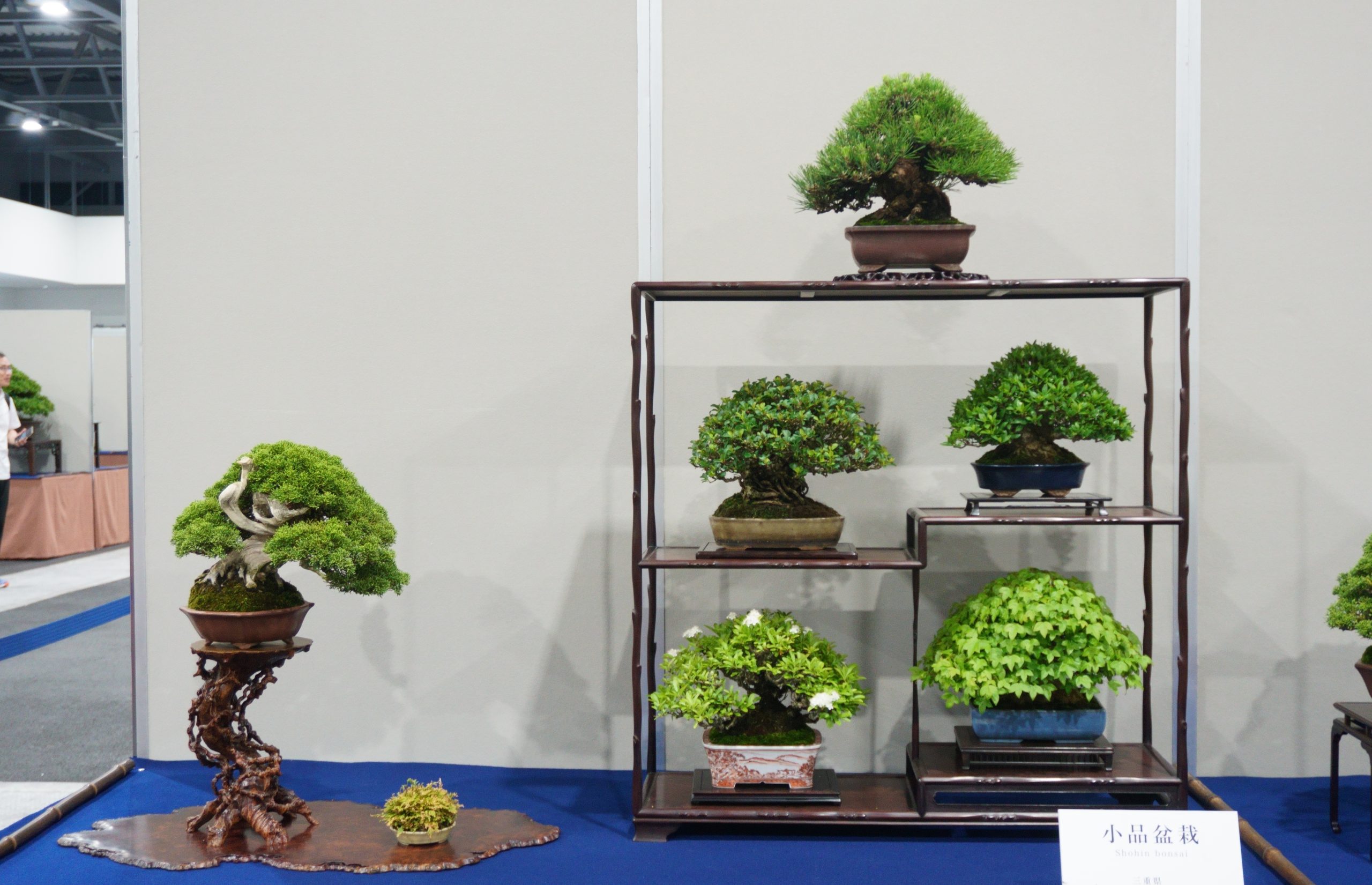 豊中市から盆栽をお売りになりたい方へ