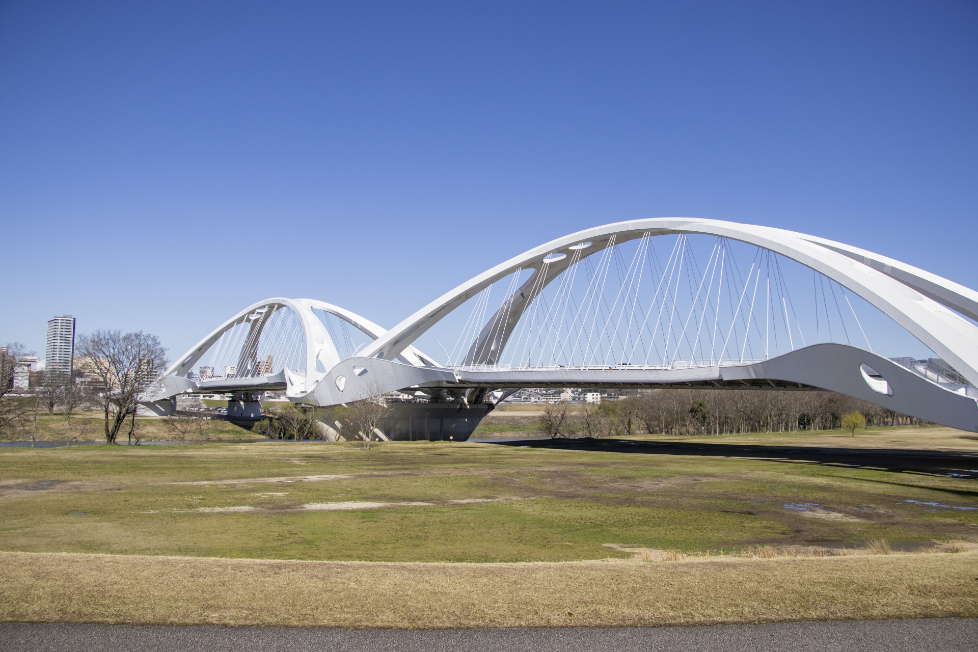 豊田市から盆栽をお売りになりたい方へ