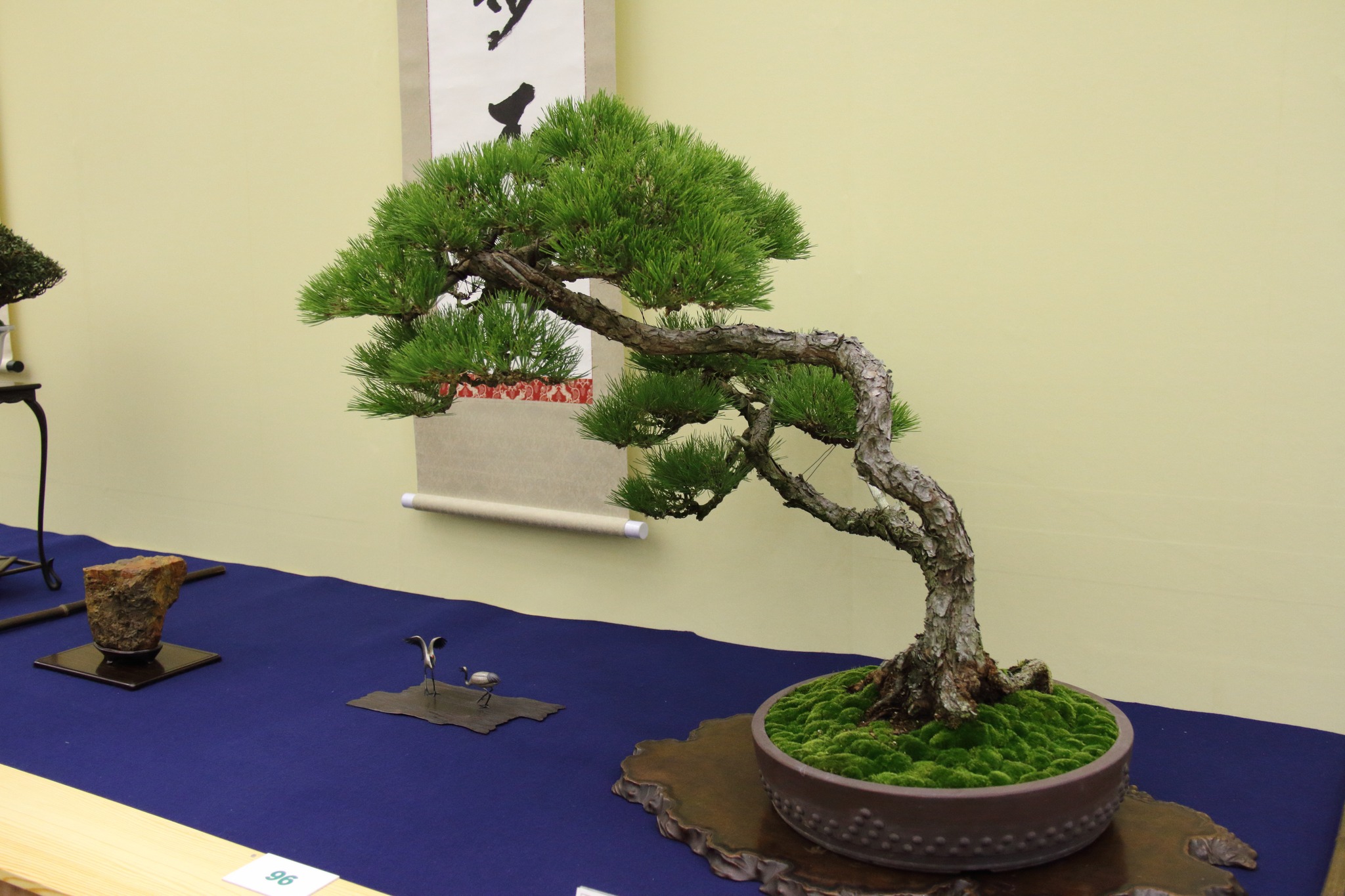 1月は盆栽買取にぴったりの季節！冬に売るのがおすすめな2つの理由🎍【高価買取のチャンス】