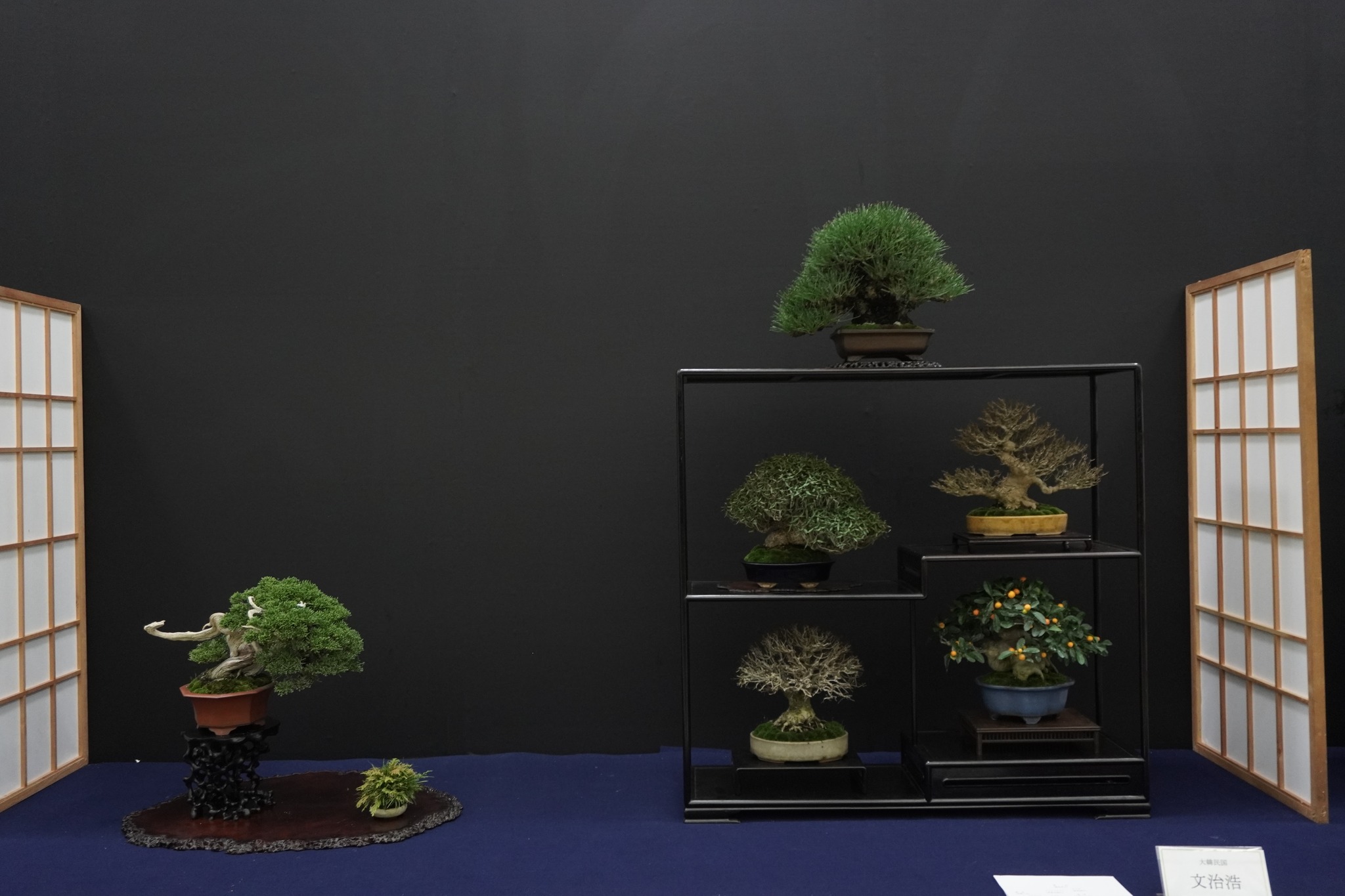 越谷市から盆栽をお売りになりたい方へ