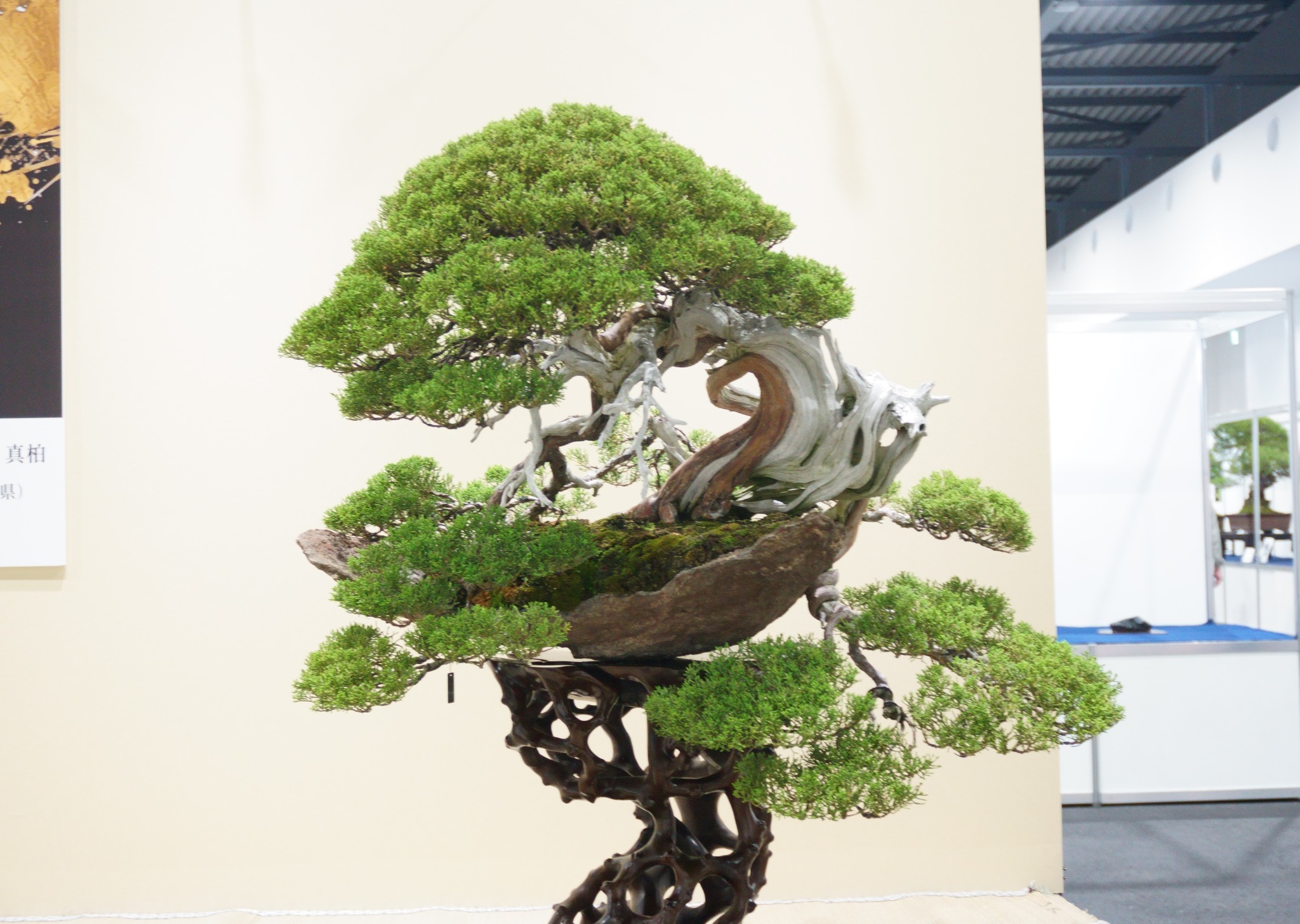 高崎市から盆栽をお売りになりたい方へ