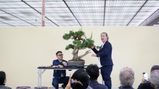 【プロの技】第45回日本盆栽大観展・大町功氏の真柏デモンストレーションを徹底解説！継ぎ木と改作の極意