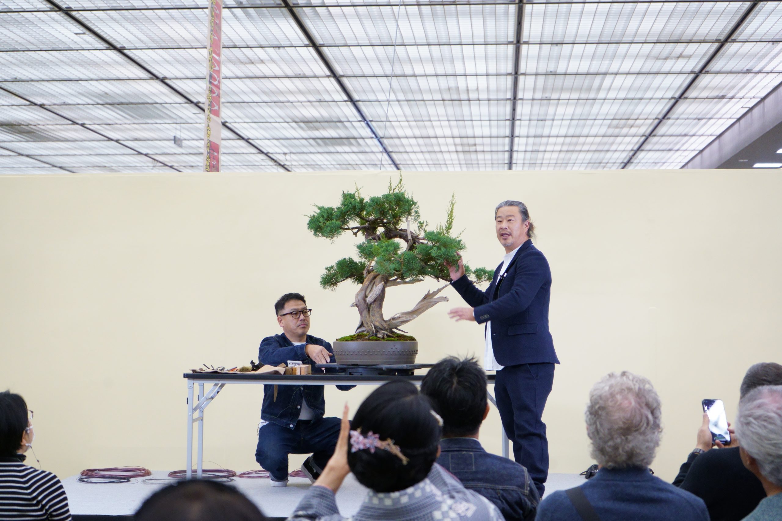 【プロの技】第45回日本盆栽大観展・大町功氏の真柏デモンストレーションを徹底解説！継ぎ木と改作の極意