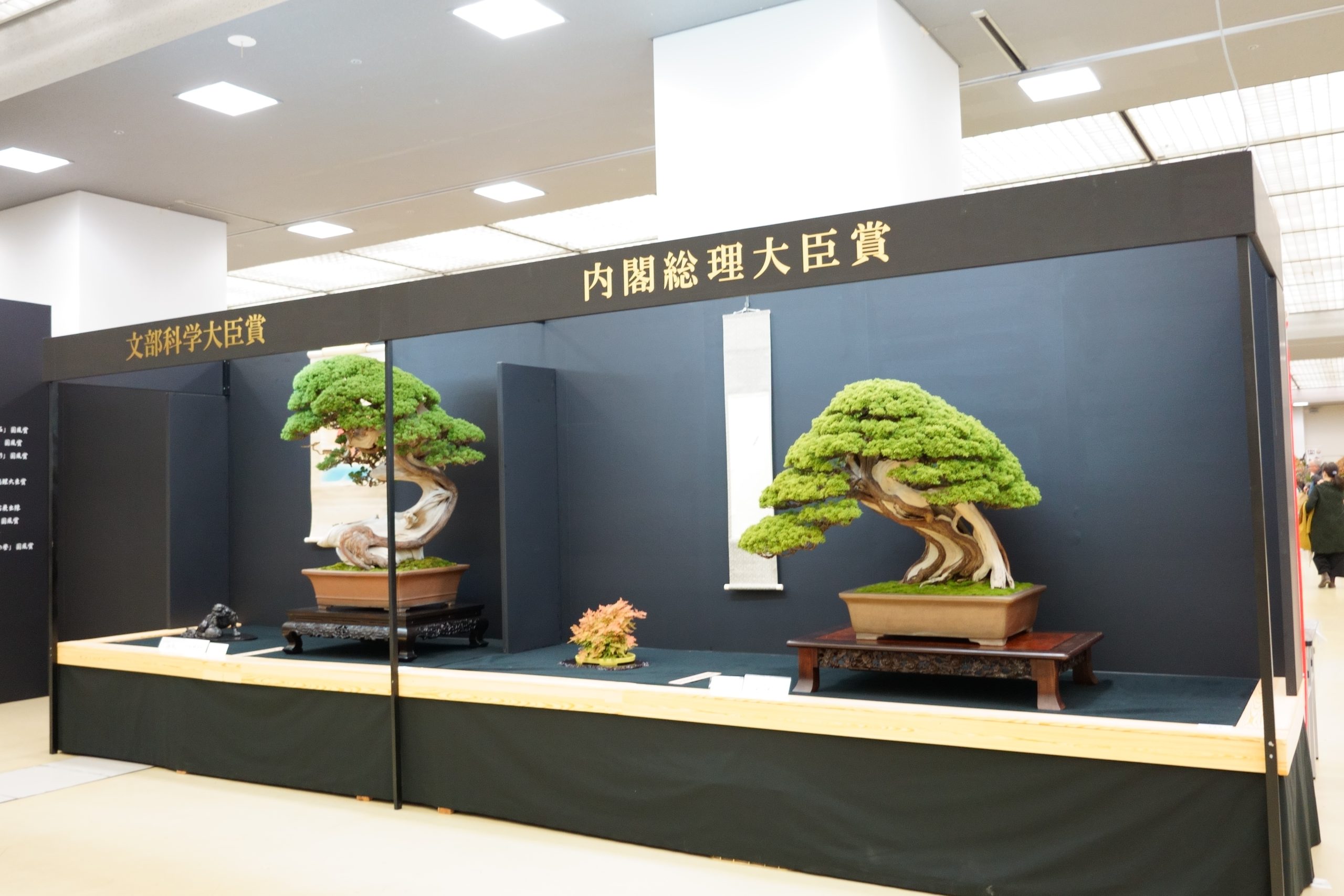 【秋の京都】日本盆栽大観展が開催！西日本最高峰の盆栽展の見どころと、冬を前に考える「名木の整理」
