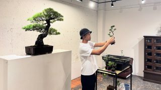 盆栽を一生の趣味に。ワークショップで学ぶ「ミニ盆栽」の作り方と、価値を下げない管理の極意
