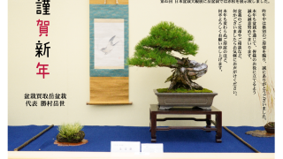 新年のご挨拶|岳盆栽より – 岳盆栽