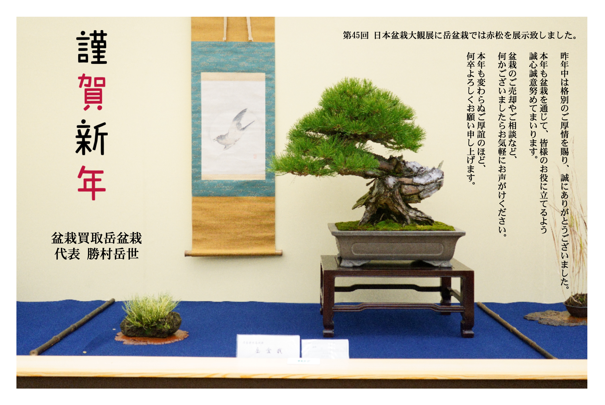 新年あけましておめでとうございます。本年もよろしくお願いいたします。