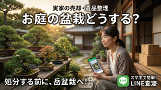 実家の売却・遺品整理で出てきた盆栽はどうする？処分する前に知っておきたい買取の選択肢