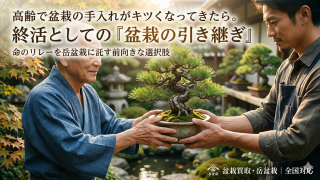 高齢で盆栽の手入れがキツくなってきたら。終活・生前整理としての「盆栽の引き継ぎ」