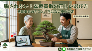 盆栽買取でトラブルに遭わないために！悪徳業者の特徴と優良な査定業者の選び方