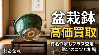 有名作家の鉢もプラス査定！盆栽鉢単体での買取相場と鑑定のコツ
